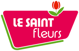 Le Saint Fleurs